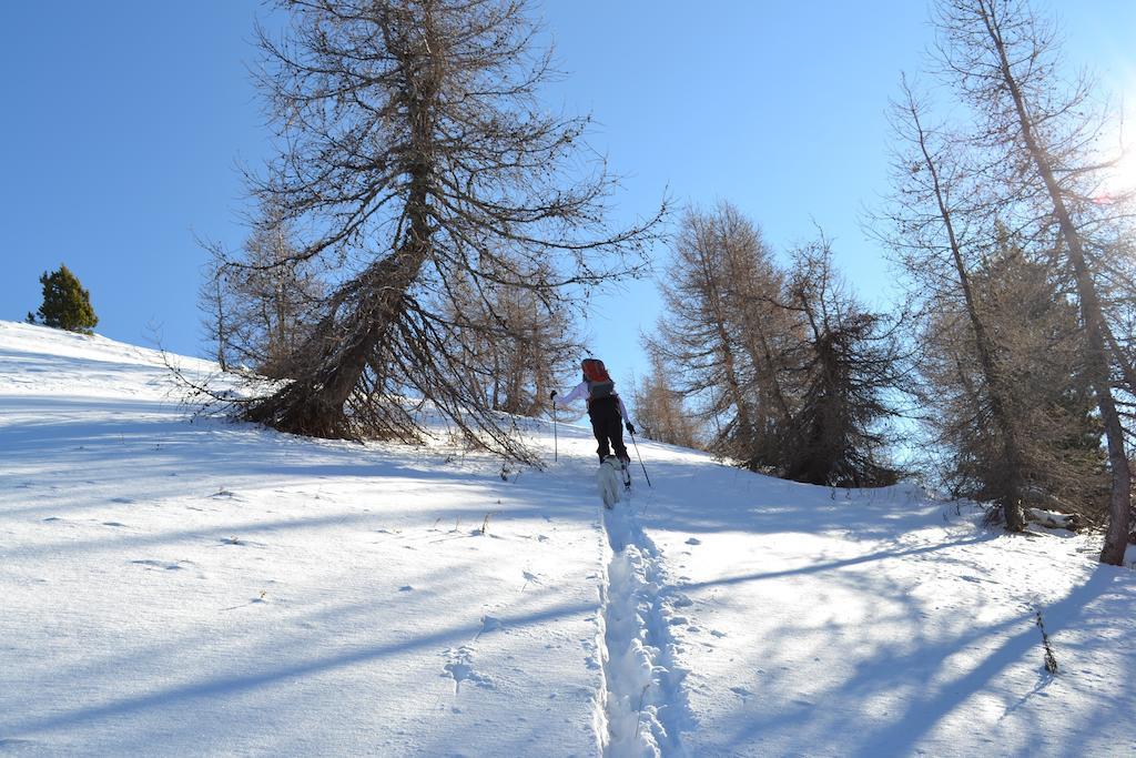 Gite Des Monges Sisteron Exteriér fotografie
