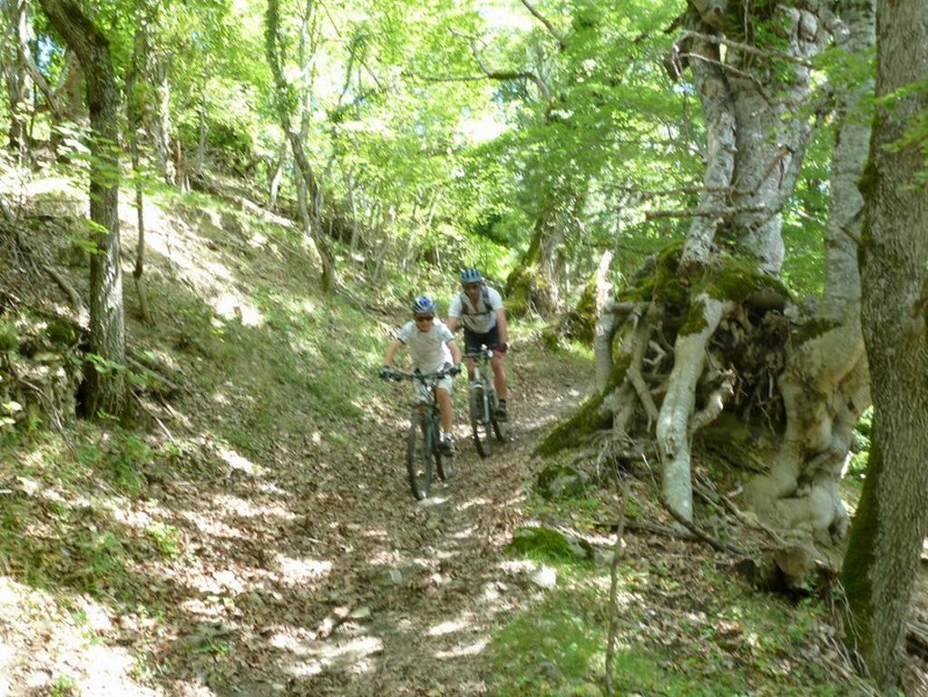 Gite Des Monges Sisteron Exteriér fotografie